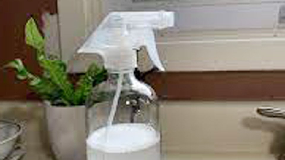 Homemade Spray Cleaner with Vinegar