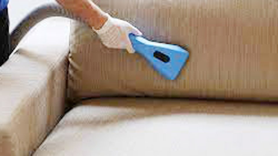 How to Get Old Pee Smell Out of a Couch