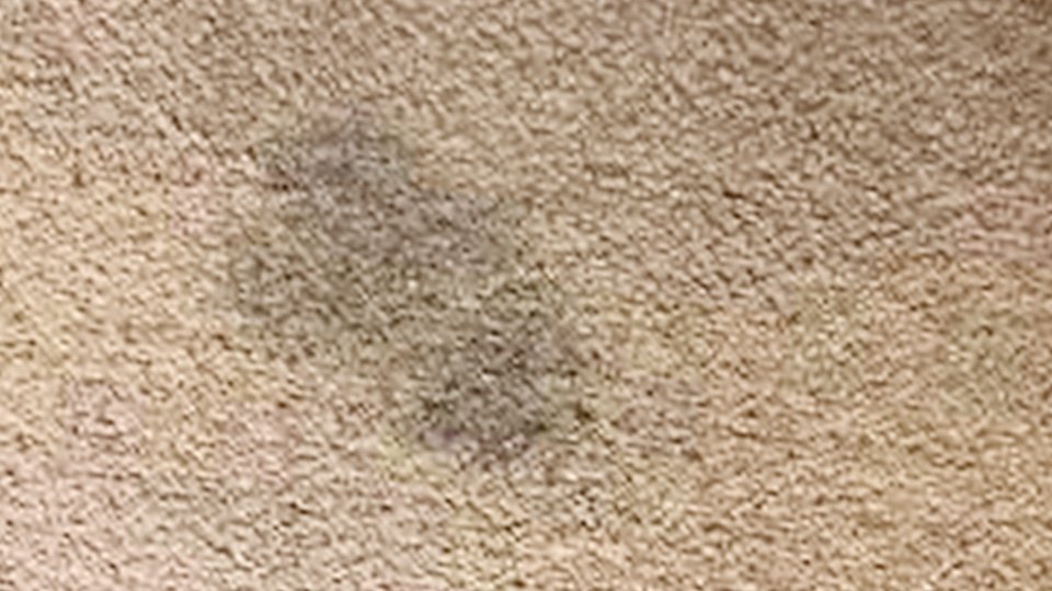 How to Get Brown Water Stains Out of Carpet