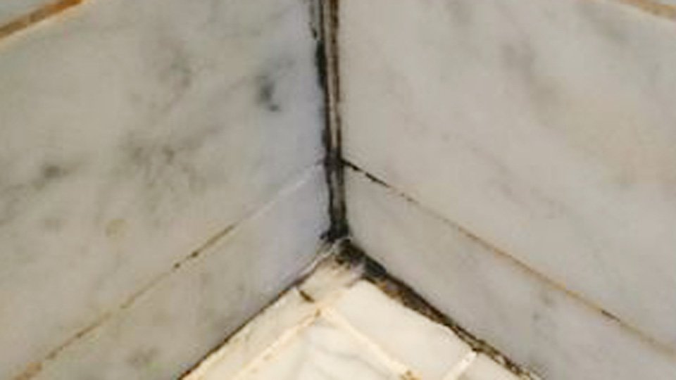 How to Remove Black Mold from Bathtub