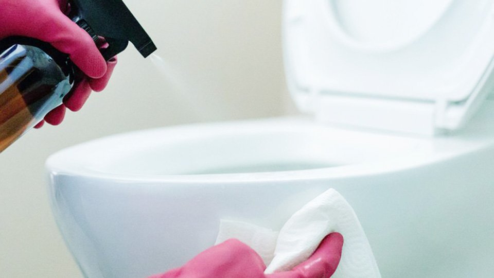 How to Remove Blue Toilet Cleaner Stains from Your Toilet Seat
