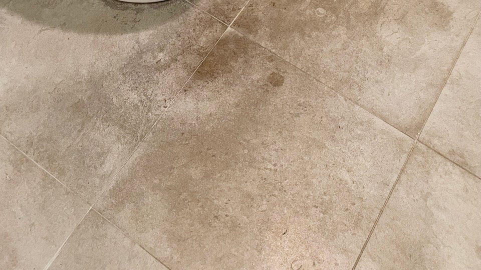 How to Remove Dog Urine from Marble Floors