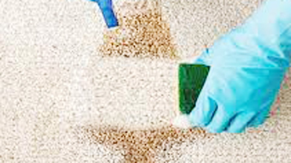 How to Remove Stains from Carpet Without Carpet Cleaner