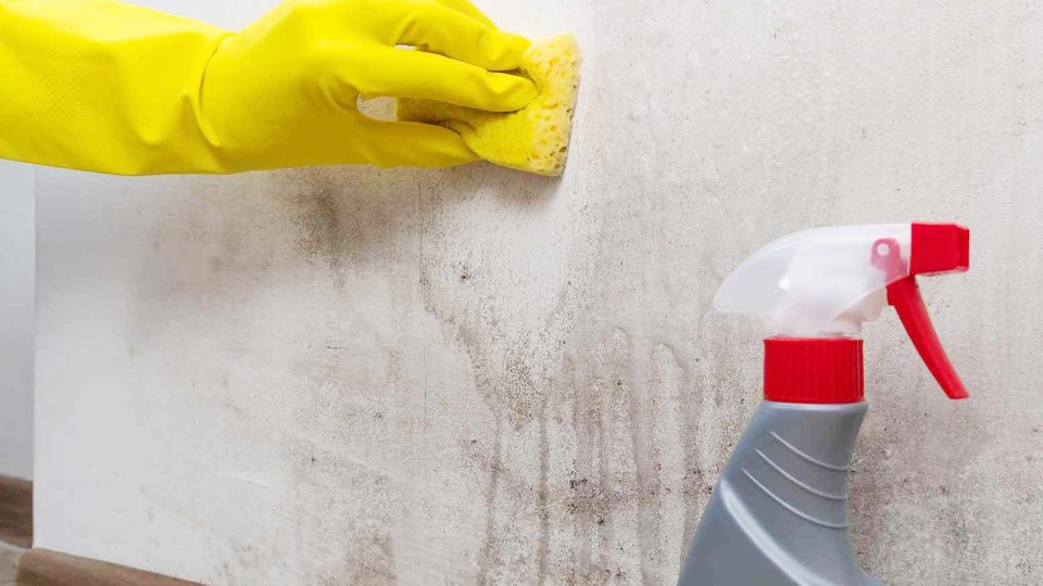 What Factors Influence the Cost of Deep Cleaning a House?