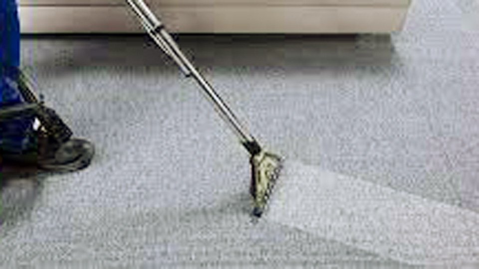 How Much Does a Professional Carpet Cleaner Cost?