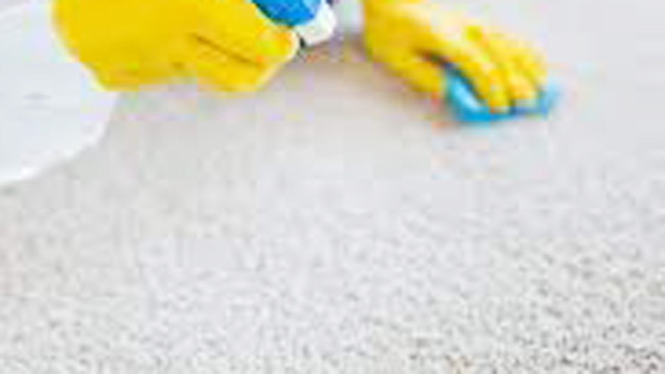 How to Get Pee Out of Carpet Without a Carpet Cleaner