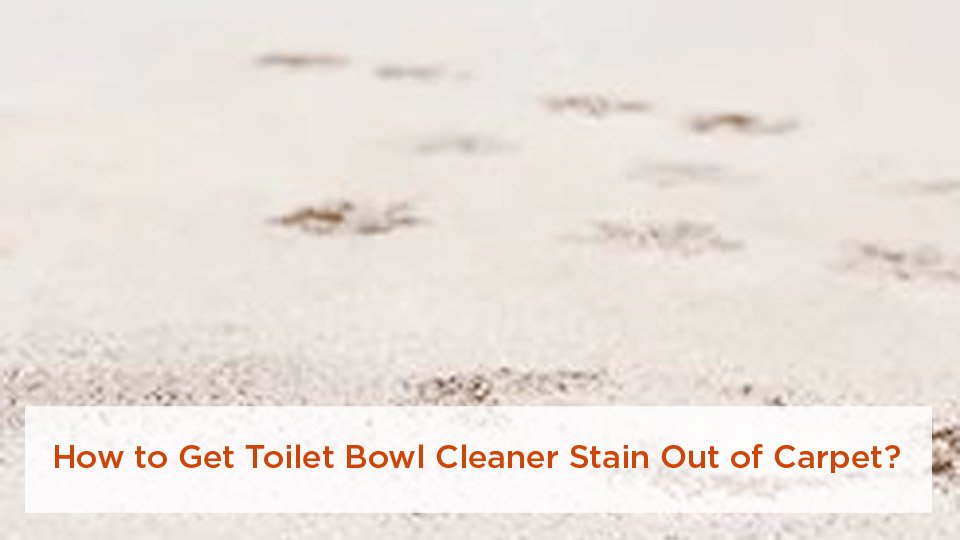 How to Get Toilet Bowl Cleaner Stain Out of Carpet 1 How to Get Toilet Bowl Cleaner Stain Out of Carpet