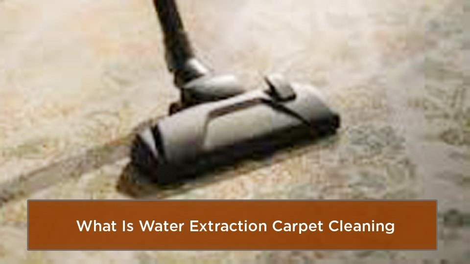 What Is Water Extraction Carpet Cleaning