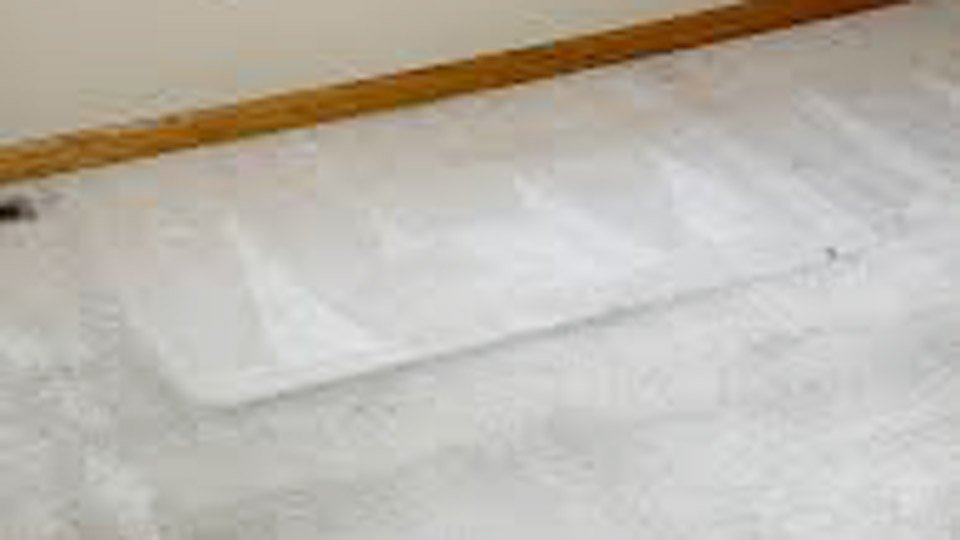 What Not to Do When Shampooing Carpet