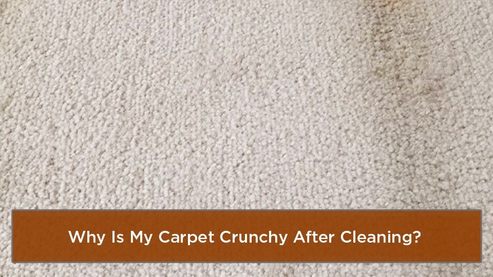 Why Is My Carpet Crunchy After Cleaning?