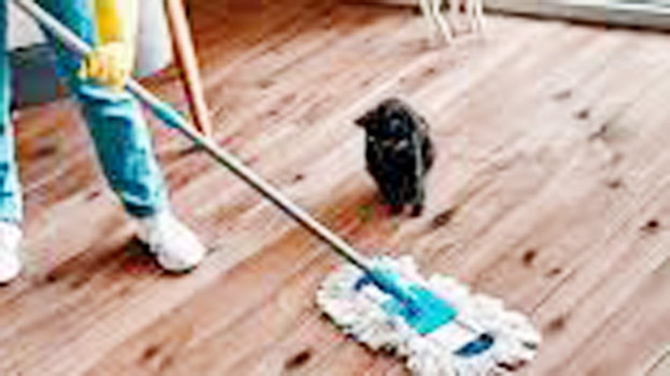 Why Do I Keep Cleaning My House