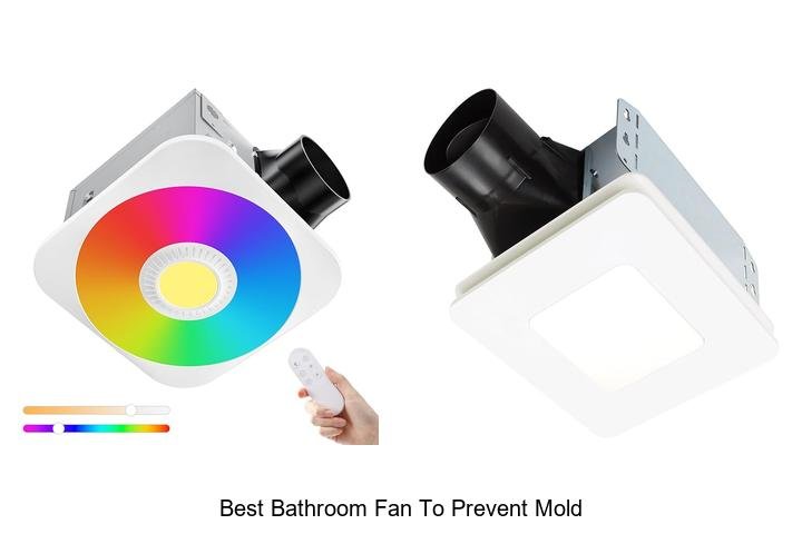 best bathroom fan to prevent mold