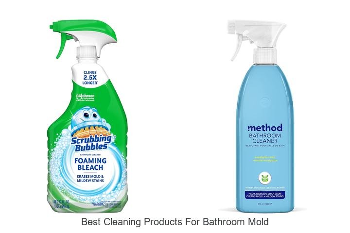 best cleaning products for bathroom mold