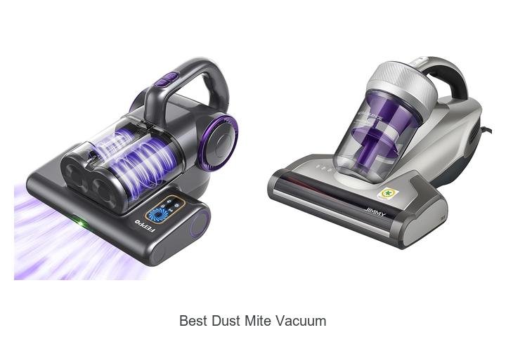 best dust mite vacuum