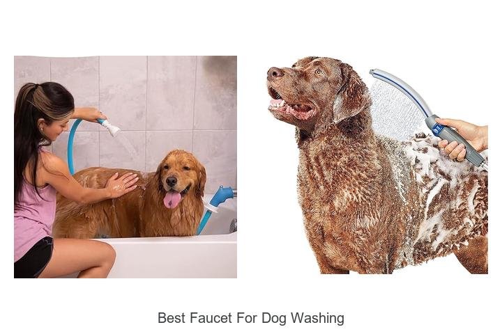 best faucet for dog washing