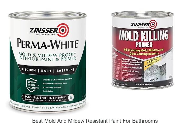 best mold and mildew resistant paint for bathrooms