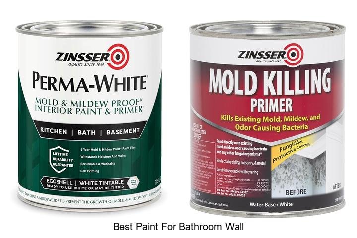 best paint for bathroom wall
