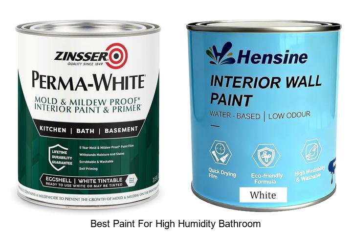 best paint for high humidity bathroom